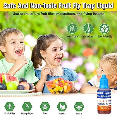 Ready-to-Use Indoor Fruit Fly Traps with Bait (6-Count)