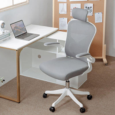 Ergonomic Mesh Office Chair with Footrest, High Back Computer Executive  Desk Chair with Headrest and 4D Flip-up Armrests, Adjustable Tilt Lock and