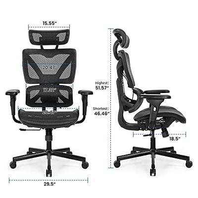 Ergonomic Office Chair Desk Chair High Back Computer Chair with Armrest and  Lumbar Support, 300lb, Black 