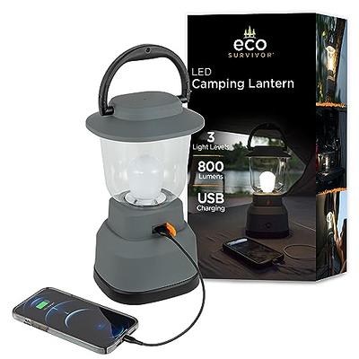 Raynic 6000 LED Camping Lantern Rechargeable, 650LM Hand Crank