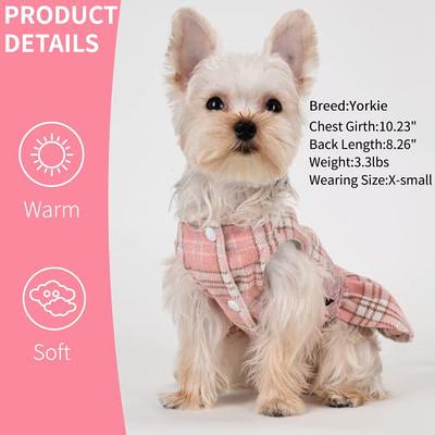 winter dog clothes