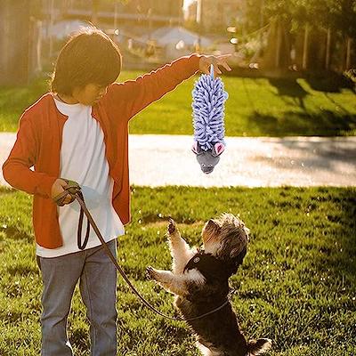 Pet Supplies : Ipetboom Pet Chew Toys Dog Snuffle Dog Activity