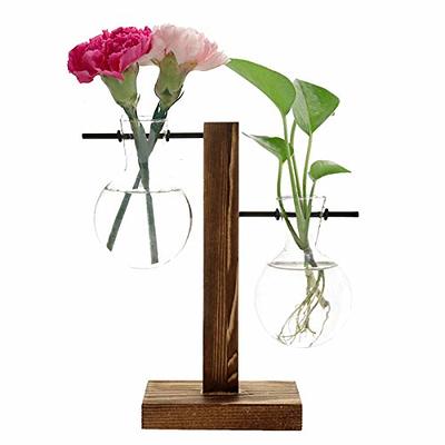 EBUYOM 2 PCS Artificial Succulents Plants Unpotted Fake Tillandsia Air  Plants Succulent Bouquet Arrangements Faux Plants DIY for Garden Decor Home