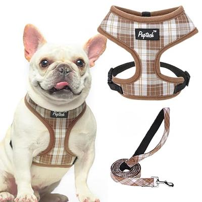 Breathable & Padded French Bulldog Harness and Leash