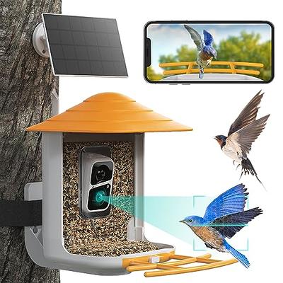 Shop Smart Bird Feeder Camera with Solar Panel, Wireless Camera