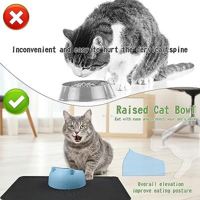 Dog Bowls with Mat,Tilted Cat Bowl Set with Silicone Mat for Food and  Water,Non