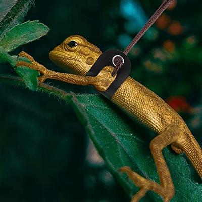 Gecko leashes clearance for sale