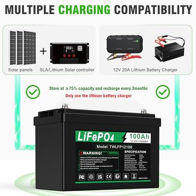ARyee 12V 100Ah LiFePO4 Battery, 2000+ Deep Cycle Lithium Iron Phosphate  Fast Charging Battery with BMS Rechargeable Battery for Backup Power, Fish  Finder, Marine, Solar, RV, Off-Grid System - Yahoo Shopping