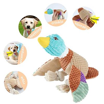 HGB Squeaky Dog Toys, No Stuffing Crinkle Plush Dog Chew Toys for