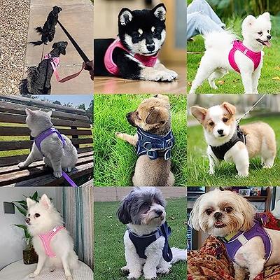 Leash Set - Dog Vest Harness for Small Dogs Medium Dogs- Adjustable  Reflective Step in Harness - M