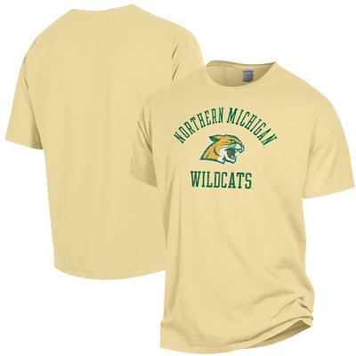 Mitchell & Ness Men's Mitchell & Ness Green Bay Packers Historic Logo  Ultimate Play - 3/4 Sleeve Raglan Henley T-Shirt