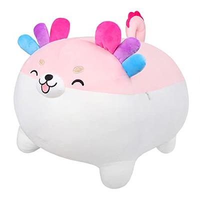 Auspicious beginning 19.6 Axolotl Shiba Inu Plush Toy Anime Axolotl Corgi Kawaii  Plush Pillow Soft Cute Smiling Dog Plushies, Stuffed Animal Plush Toy Gifts  for Kids Adults - Yahoo Shopping
