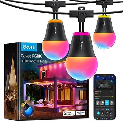 Govee Outdoor String Lights H7015 with 15 Dimmable RGBIC LED Bulbs, 48ft  IP65 Waterproof Shatterproof Christmas Decorations, Color Changing Warm  White Lights with 47 Scene Modes for Christmas, Party 