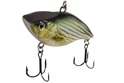 Delong Lures Fishing Lures Bass Set, 10 Pre-Rigged Weedless Swim Bait,  Twister Tail Bass Fishing