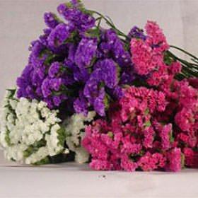 Benchmark Bouquets 20 stem Rainbow Mini Carnations, With Vase (Fresh Cut  Flowers) & Flowering Fields, With Vase (Fresh Cut Flowers) - Yahoo Shopping