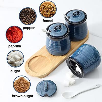 Porcelain Condiment Jar Spice Container with Lids - Bamboo Cap Holder Spot,  Ceramic Serving Spoon, Wooden Tray Best Pottery Cruet Pot for Your Home