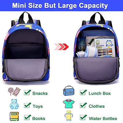 Cute Dinosaur Backpack with Lunch Box Kids' Back to School