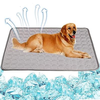 EMPSIGN Fancy Dog Bed Mat, Pet Bed Pad Reversible (Cool & Warm