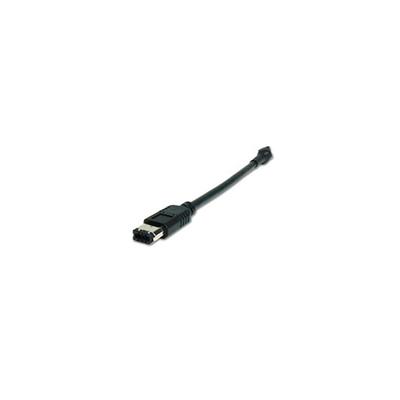 Adaptateur Firewire IEEE 1394 6 Pin F Adaptateur USB M