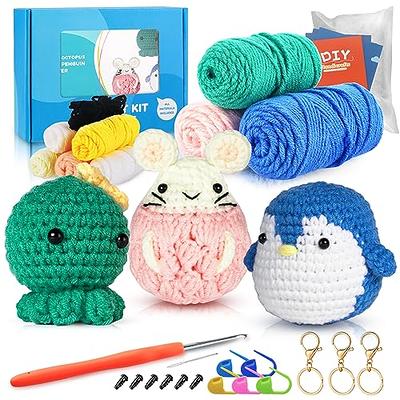 Reessy Crochet Kit for Beginners, Crochet Kit for Beginners Adults and Kids  Daughter Son Crochet Gifts,Travel Crochet Starter Kit,Crocheting Set with  12pcs Yarn and Bag, Learn to Crochet Kit Blanket : 