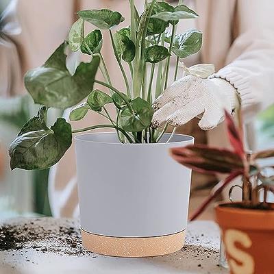 Indoor Decorative Plant Pots, Indoor Pots