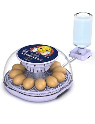 DASH Deluxe Rapid Egg Cooker for Hard Boiled, Poached, Scrambled Eggs,  Omelets, Steamed Vegetables, Dumplings & More, 12 capacity, with Auto Shut  Off