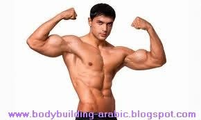   كيف تزيد حجم الذراعين 5 سنتيمترات في أربعة أسابيع  Bodybuilding