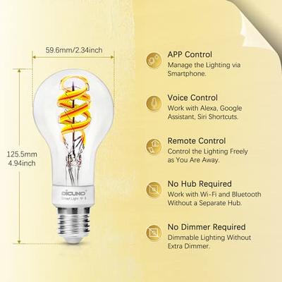 DiCUNO Smart Edison Bulb A19, Color Changing WiFi Smart Light Bulb, Vinatge  A60 Filament Bulb Work