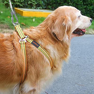 Dog Tie Out Cable for Dogs Outside Up to 125/250lbs,10/20/30/50FT