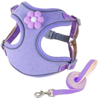 1 Set - Dog Collar & Leash Kit Any Size From 3/8 To 3/4 All Hardware  Webbing - Yahoo Shopping