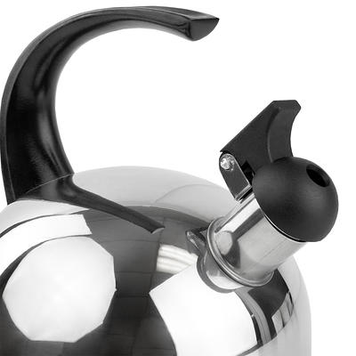 Home Basics Silver Stainless Steel Tea Kettle