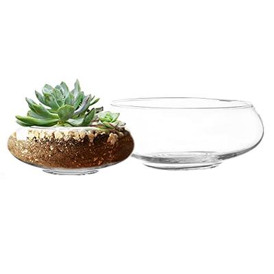 Modern Clear Glass Display Bowls, Plant Vases, Votive Candle Holder, Decorative Storage Jars, Set of 2