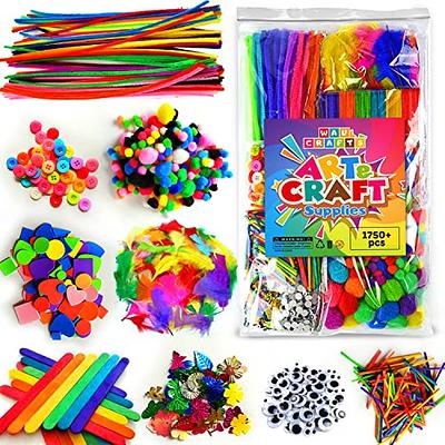 Arts and Crafts Supplies for Kids - Craft Art Supply Kit for