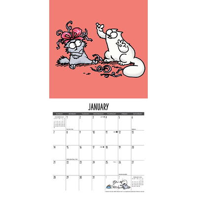 Cat-Astrophe 2024 Wall Calendar – Willow Creek Press