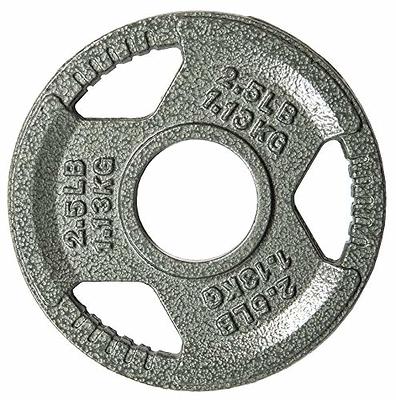 BalanceFrom Cast Iron Plate Weight Plate for Strength Training and  Weightlifting, Olympic or Standard