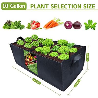 HYDGOOHO 20 Gallon Grow Bags Fabric Pots with Handles for Potato Strawberry  Plants Vegetables Black Plant Container Heavy Duty Aeration Fabric Pots  Plants Growing Bags with Handles(20 Gallon-5 Pack) - Yahoo Shopping