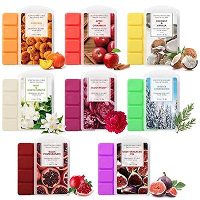 2 Pk Cube Apple Cinnamon Wax Melts Candle Warmers Fragrance 2.5oz Aroma Therapy
