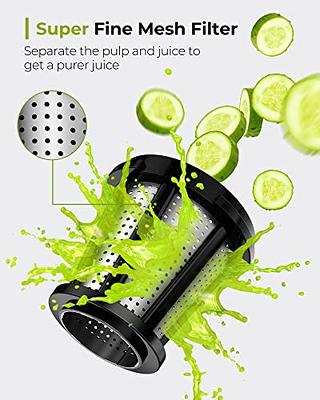 Aeitto Masticating Juicer with Two Speed Modes BLACK