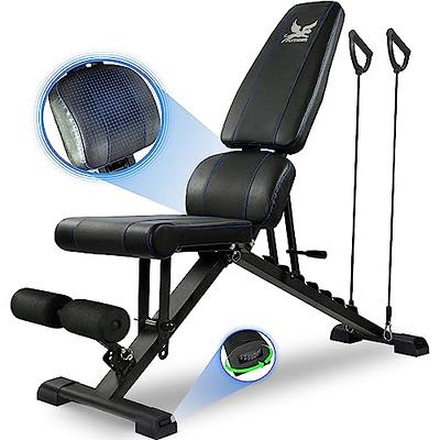 FLYBIRD Adjustable Utility Weight Bench for Full Body Workout, Foldable for  Incline and Decline 