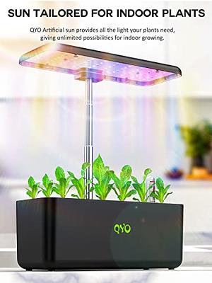 Indoor Gardening Systems: Endless Plant Possibilities