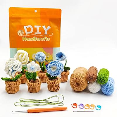 Mayboos 2Pcs DIY Crochet Animal Kit, Dinosaur Plush Doll, Penguin Plush  Doll,Crochet Kit for Beginners,Step-by-Step Instruction and Video  Tutorials, All Materials and Tools 