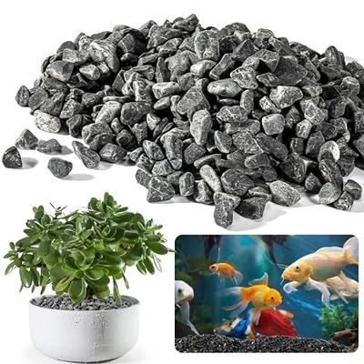 Can I Use Outdoor Gravel or Rocks in an Aquarium?