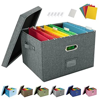 JSungo File Box with 5 Hanging Filing Folders, Document Organizer