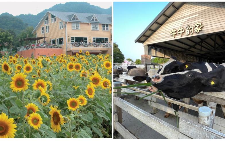 【北部、中部親子農牧場】鹿羽松牧場、準園生態農場、埔心農場、綠世界、飛牛牧場、武陵農場...大人小孩體驗自然最佳景點！