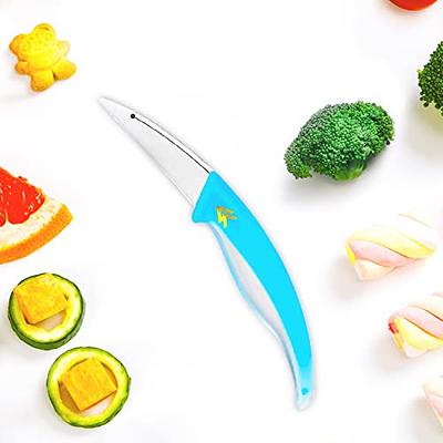 MITSUMOTO SAKARI 5.5 inch Japanese Paring Knife, High Carbon Steel Fruit  and Vegetable Knife