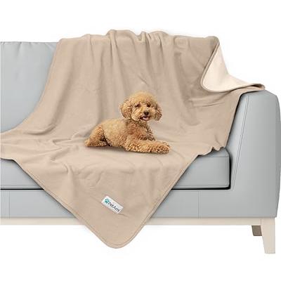 Waterproof Dog Blanket for Bed Couch Sofa Car, Super Soft and Warm Puppy  Blanket for Small Dogs Cats, Fleece Sherpa Throw Furniture Protector Pet  Hair