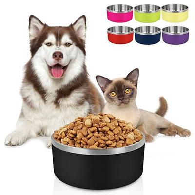 Dog Bowl Double Dog Cat Bowl Premium Stainless Steel Water and Food Raised  Bowls, Pet Feeder Bowls Set with Non-Slip Resin Station for Small Medium