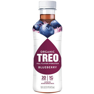 Treo Fruit & Birch Water Drink, Blueberry, Pack of 12