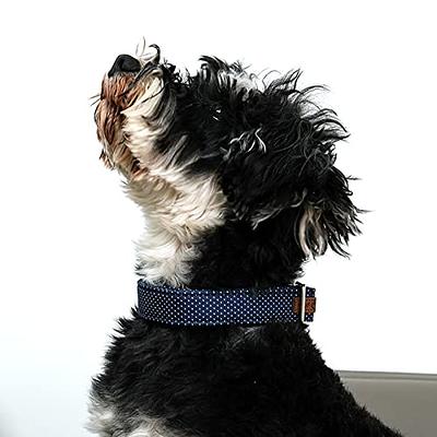 Lionet Paws Boy Dog Collar with Bowtie, Comfortable Adjustable