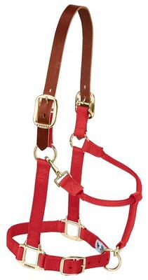 Weaver Padded & Adjustable Nylon Halter